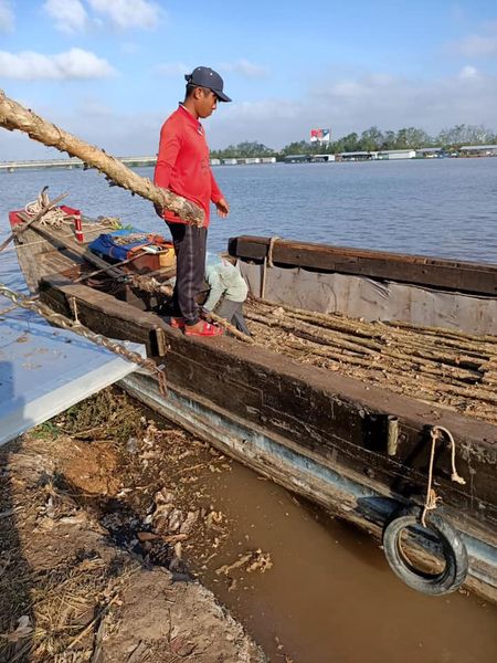  CỪ TRÀM BẾN TRE VŨ MƠ