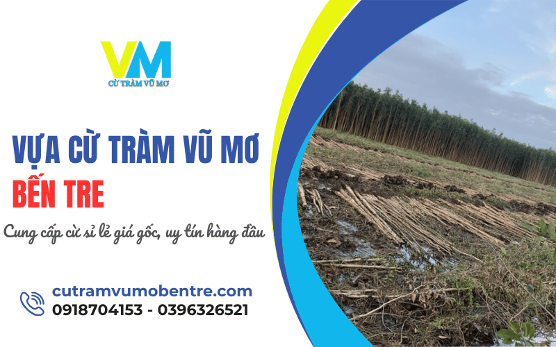 Vựa cừ tràm Vũ Mơ