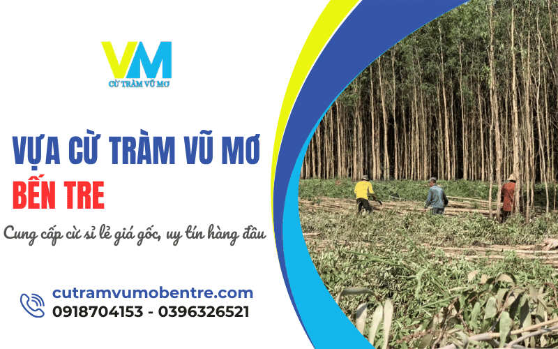 Vựa cừ tràm Vũ Mơ