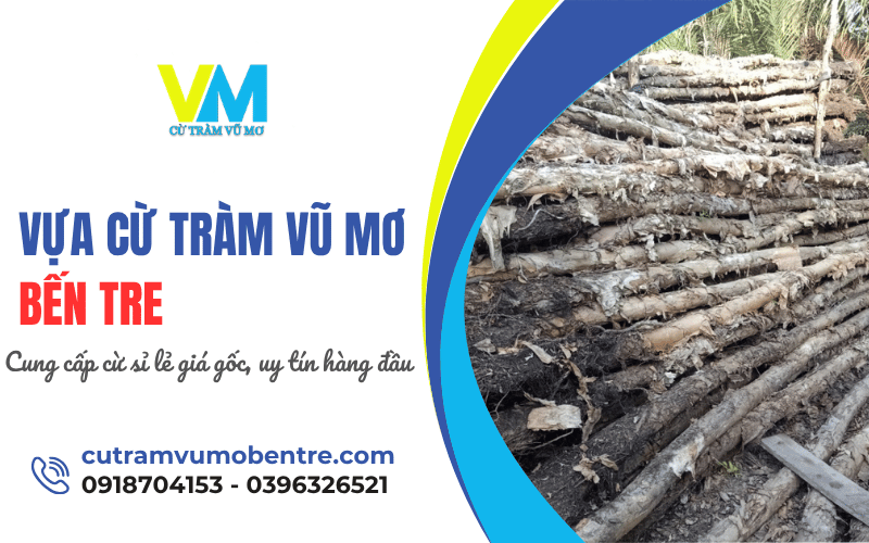 Vựa cừ tràm Vũ Mơ