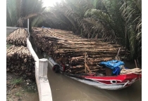 NHỌC NHẰN NGHỀ VÁC CỪ