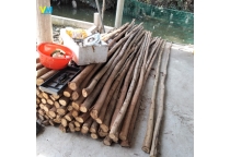 ỨNG DỤNG CỪ TRÀM VÀO XÂY DỰNG