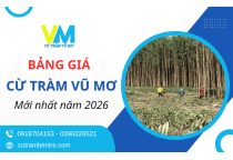 Bảng giá cừ tràm Vũ Mơ mới nhất 2026 - Cam kết cừ tươi, đủ quy cách, giao hàng nhanh