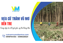 Vựa cừ tràm Vũ Mơ Bến Tre: Địa chỉ cung cấp cừ sỉ lẻ giá gốc, uy tín hàng đầu 