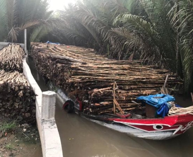 NHỌC NHẰN NGHỀ VÁC CỪ