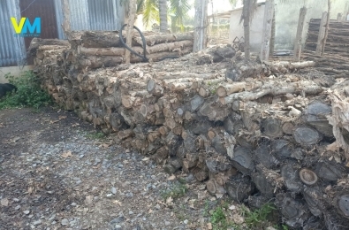 BÁN CỪ BẠCH ĐÀN