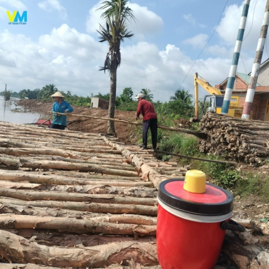 CUNG CẤP CỪ TRÀM LỚN NHỎ CÁC LOẠI